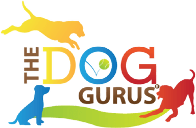 The Dog Gurus